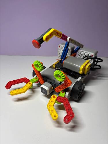 5204181855496771314